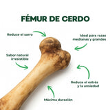 Dogger Snacks - Fémur de Cerdo