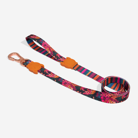 Correa Selva Río - para perro