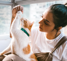 Neopro Amazonia Cat Collar