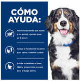 Hill´s Science Diet Adulto Metabolic Weight + j/d, alimento para perro, bolsa 10.8 kg
