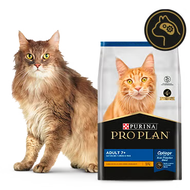 🐱 Pro Plan Gato Adulto Senior 3kg