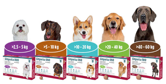🐶 Simparica Trio – Tableta Masticable Desparasitante Externa e Interna para Perros. 1 mes de protección.