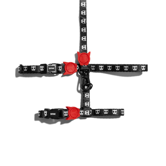 Set Skull 2.0 Arnes Y Correa para gato
