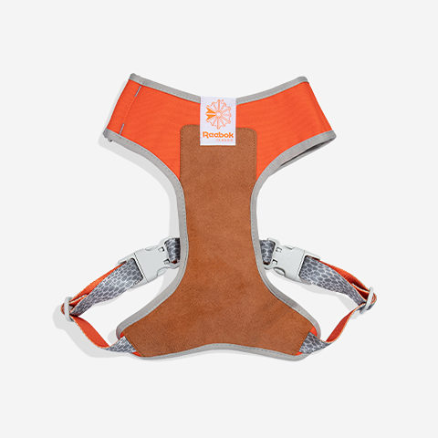Arnés Suede Ajustable Air Mesh - para Perro