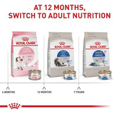 🐱 Royal Canin Adult Feline – Alimento para Gato Adulto