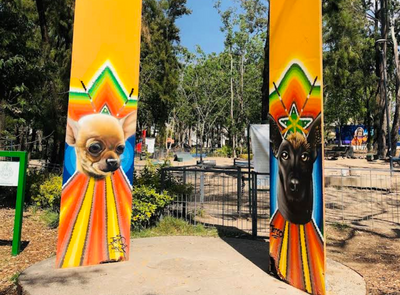 Los mejores parques pet friendly en Guadalajara para disfrutar con tu perro