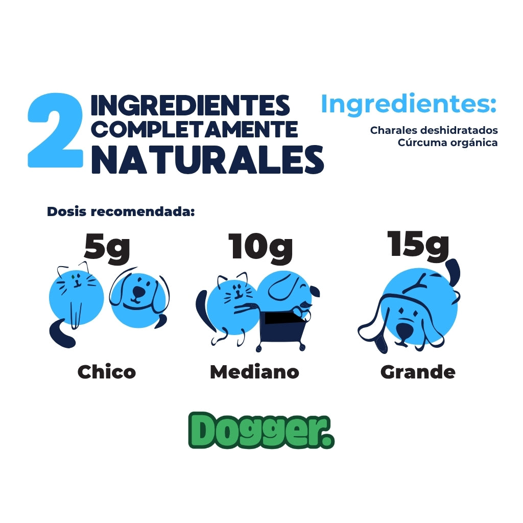 Dogger Snacks Piel Perfecta - Charales snacks