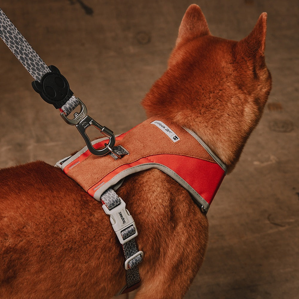Arnés  Suede  Ajustable Air Mesh - para Perro