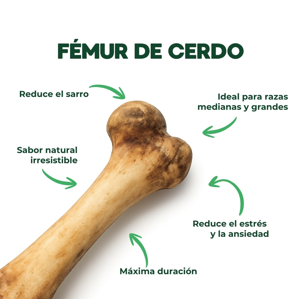 Dogger Snacks - Fémur de Cerdo