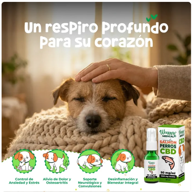 Waggy´s Aceite Calmante para Ansiedad y Dolor en Perros
