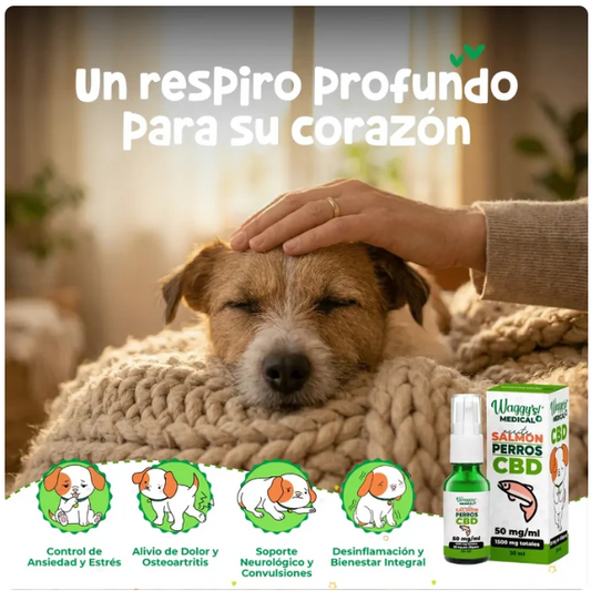Waggy´s Aceite Calmante para Ansiedad y Dolor en Perros