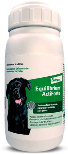 Equilibrium ActiForte, Suplemento alimenticio para perros, Frasco con 60 tabletas