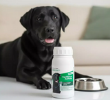 Equilibrium ActiForte, Suplemento alimenticio para perros, Frasco con 60 tabletas
