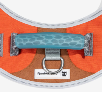 Arnés Fly Suede - Reebok Classic