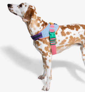 Arnés Fly Galaxy para Perro