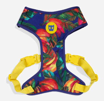 Arnés Ajustable Samba - para Perro