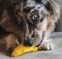 Super Banana