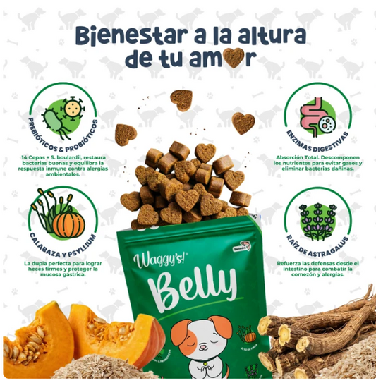 Waggy´s Belly - Probióticos para Digestión y Alergias en perros