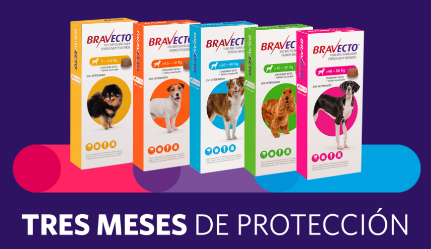 🐶 Bravecto Chew  3M – Tableta Antipulgas, Garrapatas y Ácaros para Perros. 3 meses de protección.