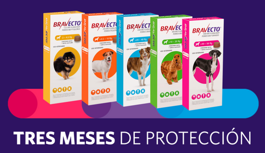 🐶 Bravecto Chew  3M – Tableta Antipulgas, Garrapatas y Ácaros para Perros. 3 meses de protección.