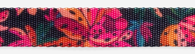 Collar Selva Río - Para Perros