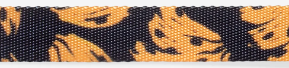 Collar Bossa Banana para Perro