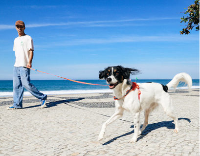 Correa Larga ajustable Drago