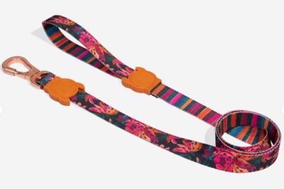 Correa Selva Río - para perro