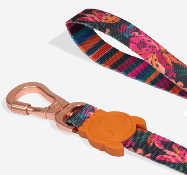 Correa Selva Río - para perro