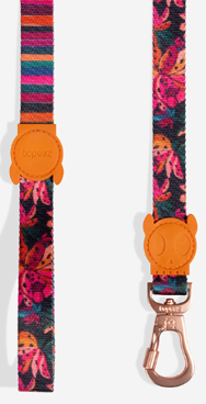 Correa Selva Río - para perro