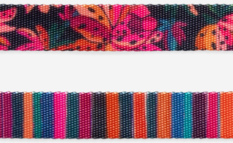 Correa Selva Río - para perro