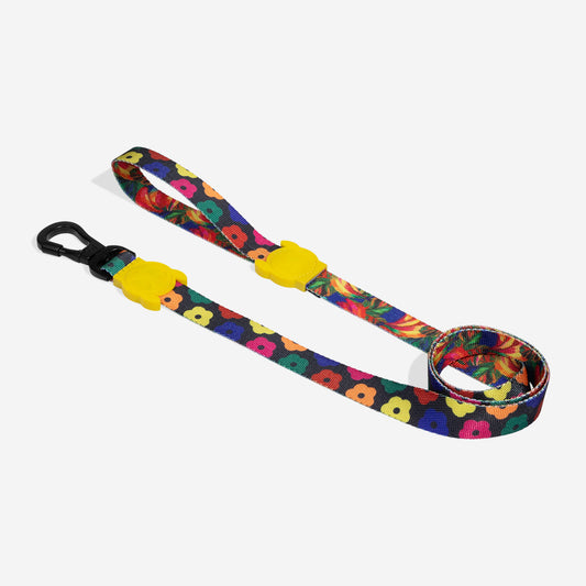 Correa Samba Río - para perros