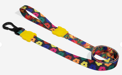 Correa Samba Río - para perros