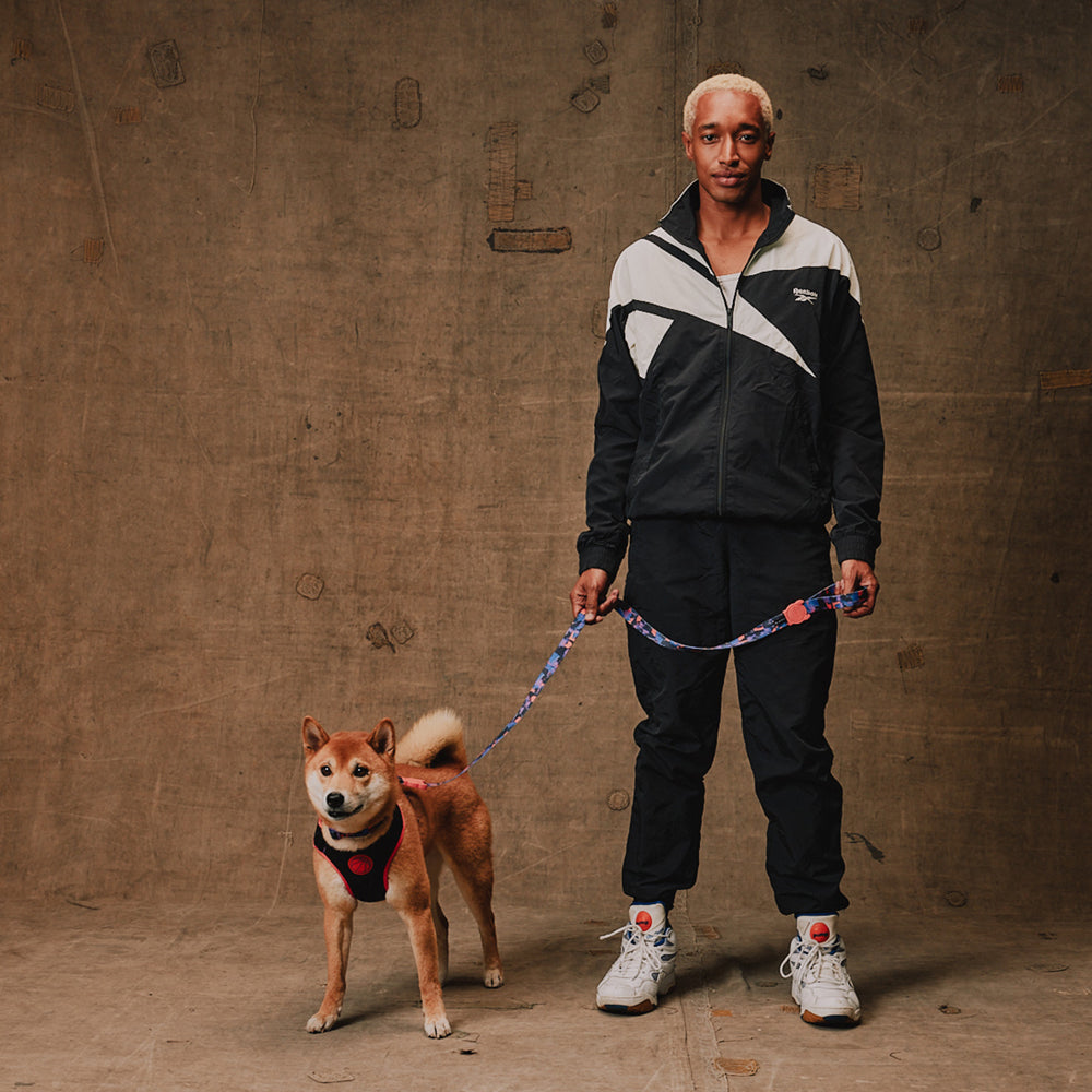 Arnés Court by Reebok Ajustable para Perro - Edición Limitada