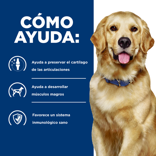 🐕 Hill's j/d Mobility – Soporte Articular para Perros