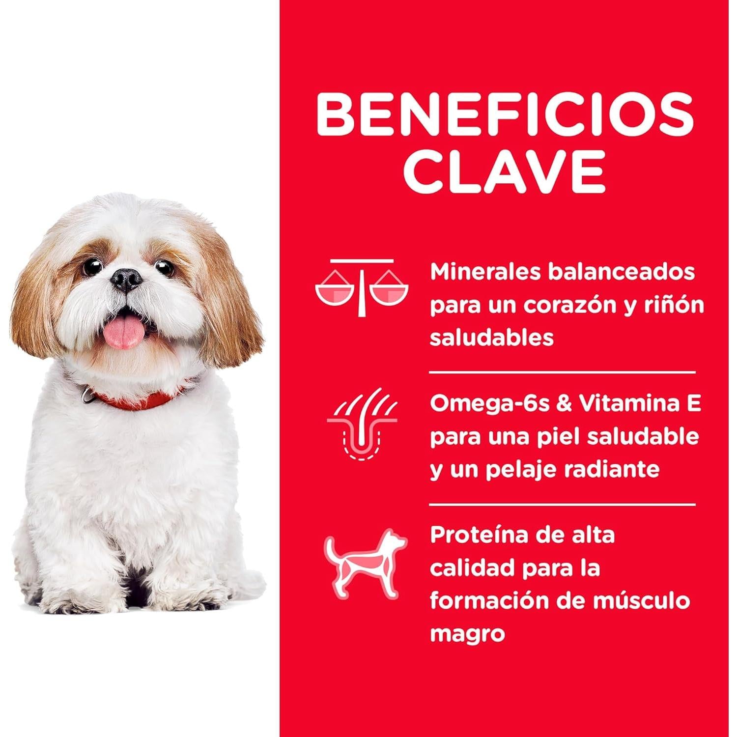 🐶 Hill's Science Diet Adult 7+ Small Bites – Perros Senior Bocaditos Pequeños