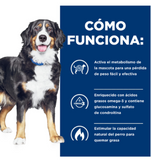 Hill´s Science Diet Adulto Metabolic Weight + j/d, alimento para perro, bolsa 10.8 kg
