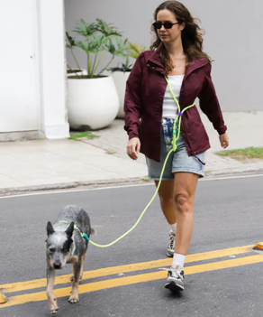 Fluo Neopro Handsfree Leash by Zee.Dog