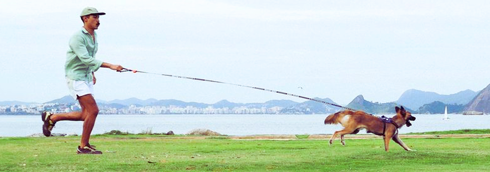 Correa manos libres - Marino Handsfree Leash by Zee.Dog