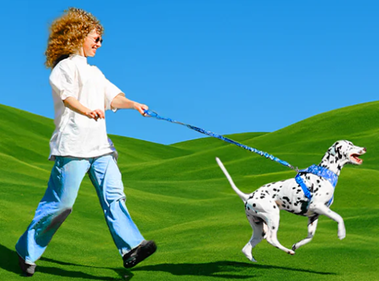 Correa anti-tirones H3D Fly  Ruff Leash by Zee.Dog