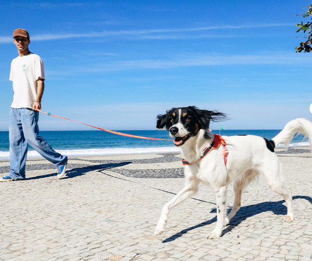 Correa Larga - Mayor Libertad.  Línea Reebok