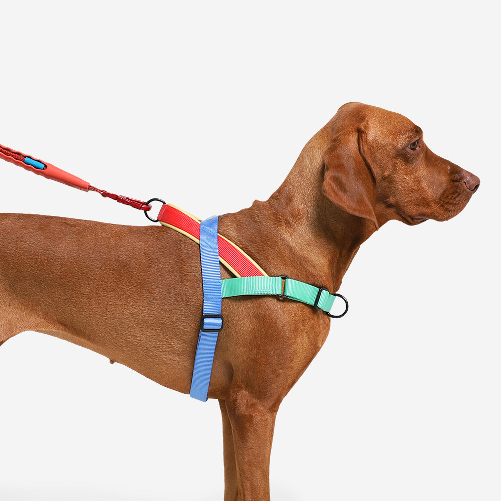 Arnés Mellow Softer Walk by Zee.dog