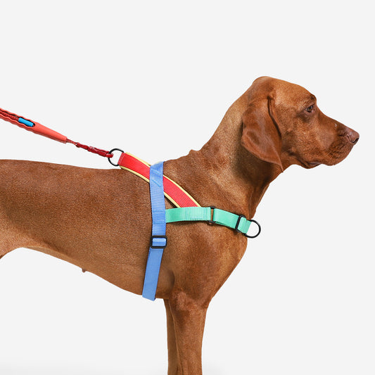 Arnés Mellow Softer Walk by Zee.dog