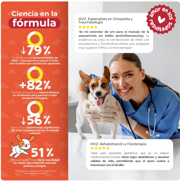 Waggy´s Move - Suplemento Articular para Movilidad y Dolor en Perros