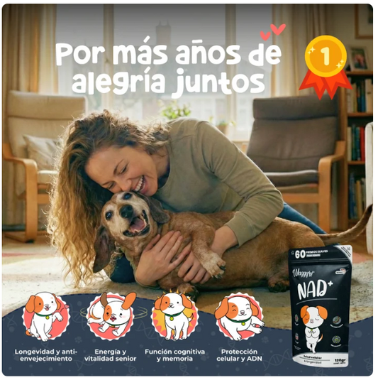 Waggy´s NAD+ - Suplemento Antienvejecimiento y Vitalidad para Perros