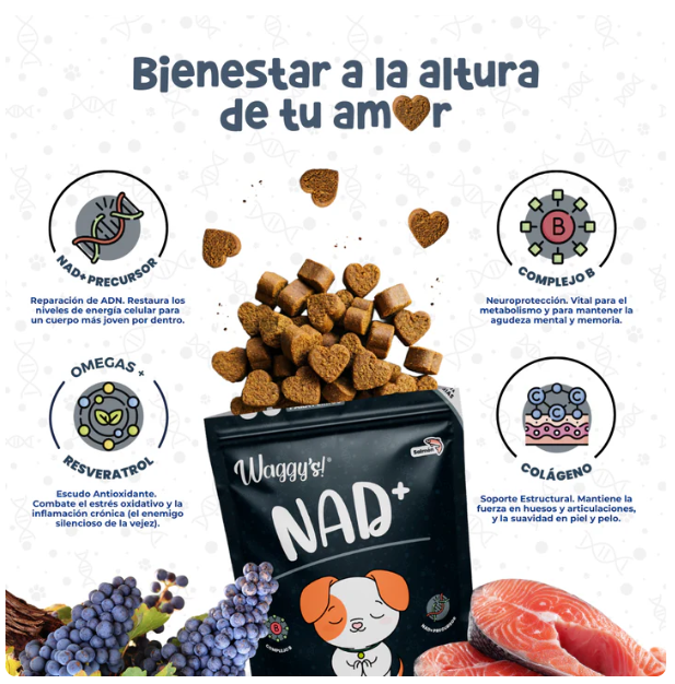 Waggy´s NAD+ - Suplemento Antienvejecimiento y Vitalidad para Perros