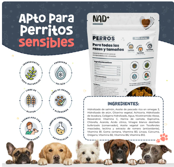 Waggy´s NAD+ - Suplemento Antienvejecimiento y Vitalidad para Perros