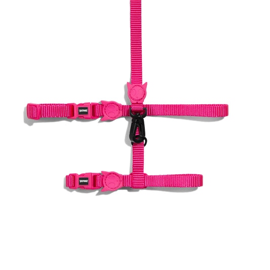 Arnés y Correa Set para gato - Pink Led by Zee.Cat