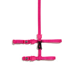 Arnés y Correa Set para gato - Pink Led by Zee.Cat