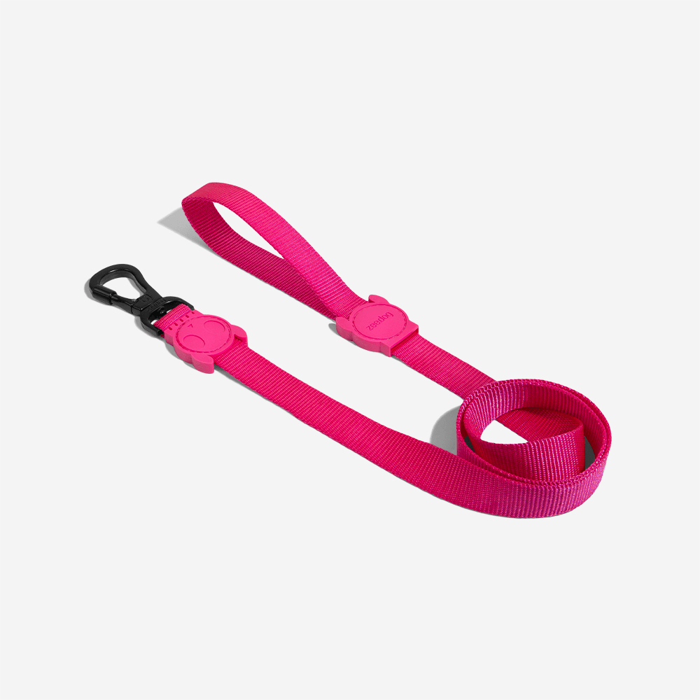 Correa Pink Led - Para Perro